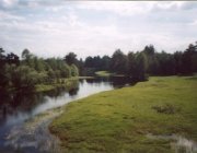 Пейзаж реки Песь в черте посёлка Хвойная