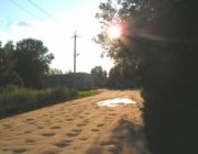 Грунтовая дорога станции Орудьево - Дядьково на территории дачного массива "Природа" (так называемая "Скотопрогонная дорога")