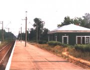 Остатки станции Темпы - справа виден разобранный путь разъезда и остатки