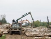 Погрузка леса у станции Весьегонск